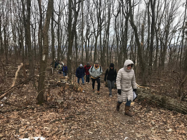 Our Team's Favorite Winter Hikes - Lancaster Conservancy