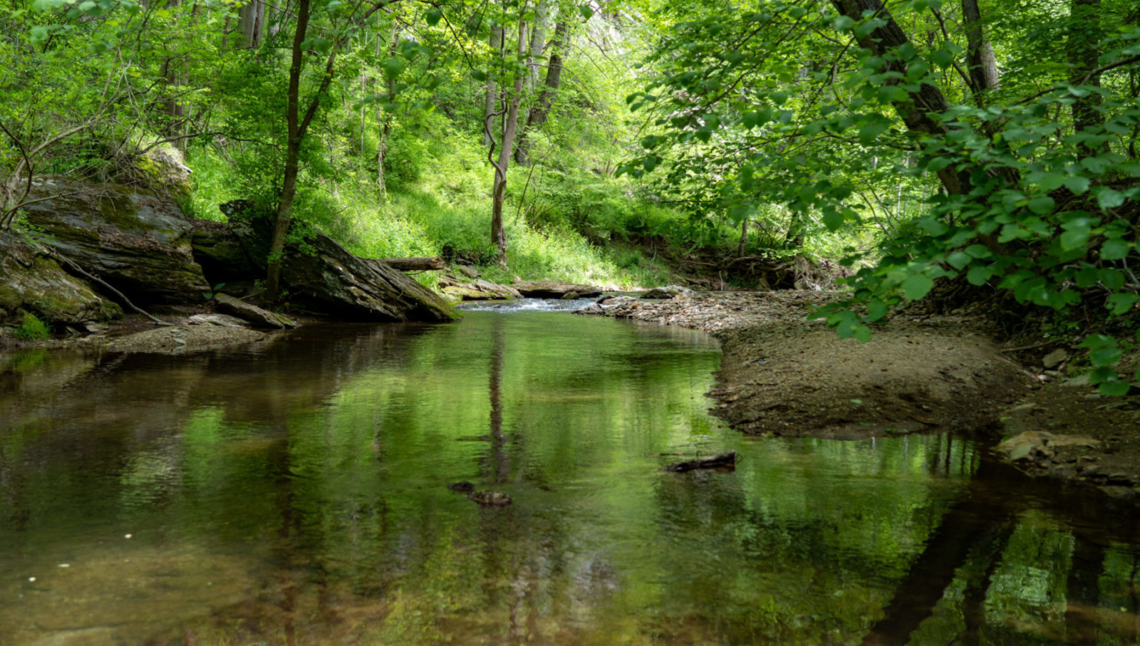 Volunteer - Lancaster Conservancy