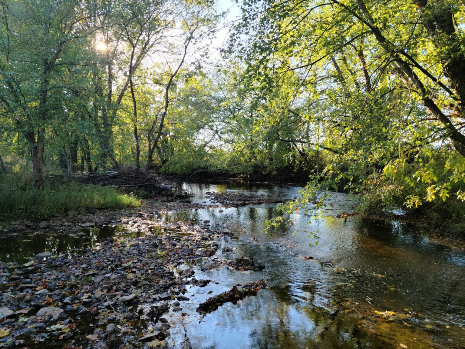 Conewago Creek