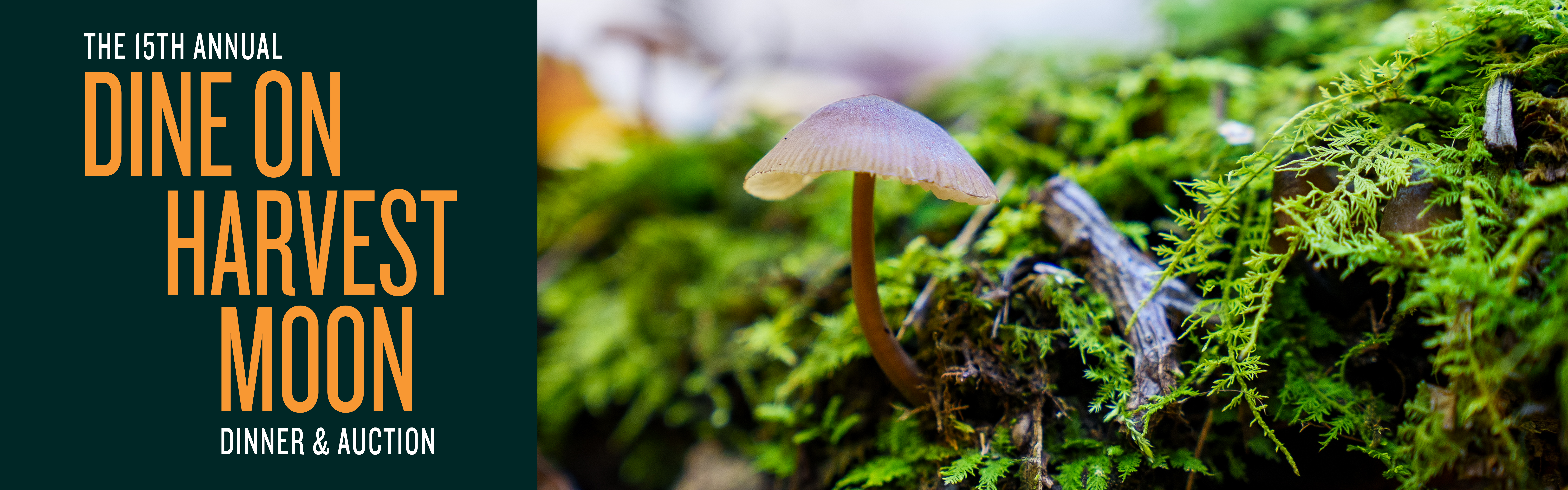 Image says "The 15th Annual Dine on Harvest Moon Dinner & Auction" and depicts a close-up photo of a small mushroom surrounded by moss